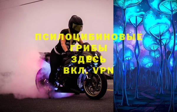 марки lsd Алексеевка