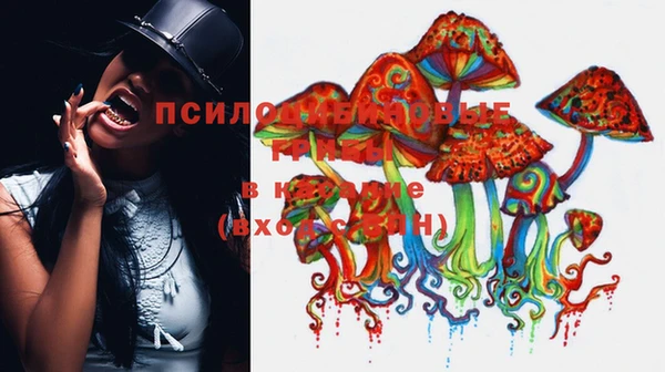 гашик Алзамай